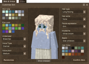 Displays the options for customizing the player's skin, hair, and voice