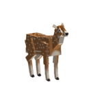 Deer-fallow-male-adult.png