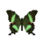 Butterfly-dead-emeraldswallowtail.png