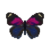 Butterfly-dead-godartsnumberwing.png