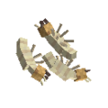 Insect termite.png
