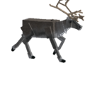 Taxidermy-male-reindeer.png