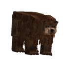 Bear-male-brown.png